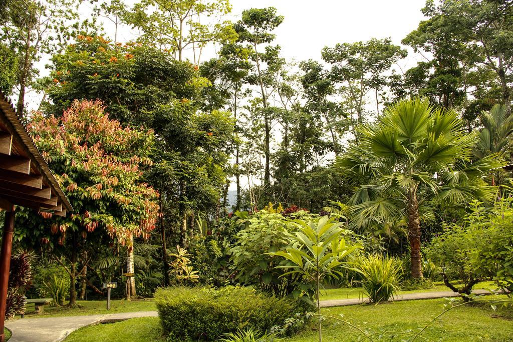 Catarata Eco Lodge La Fortuna Exterior foto