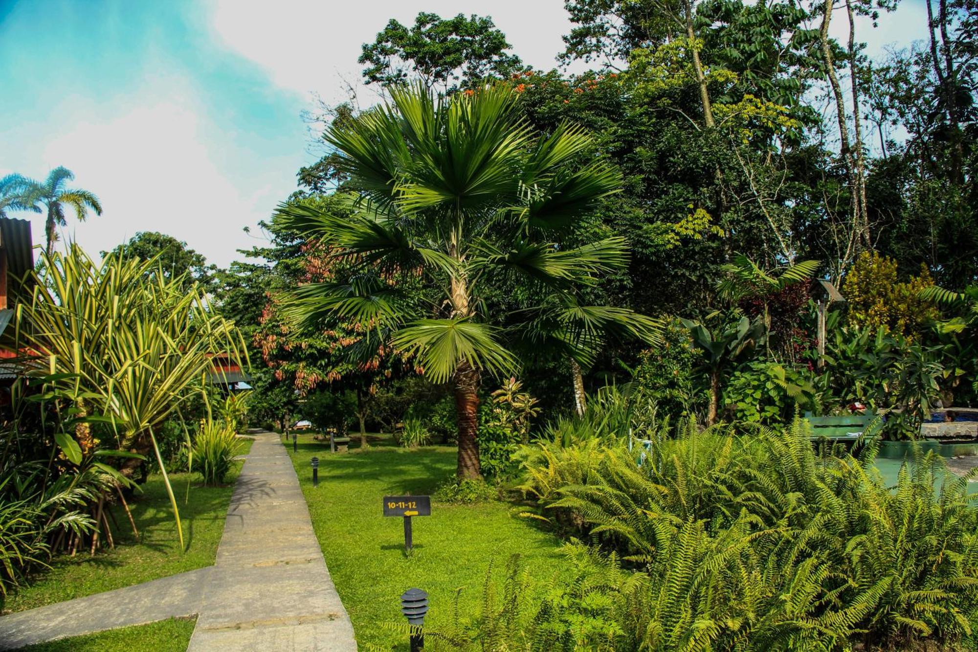 Catarata Eco Lodge La Fortuna Zimmer foto
