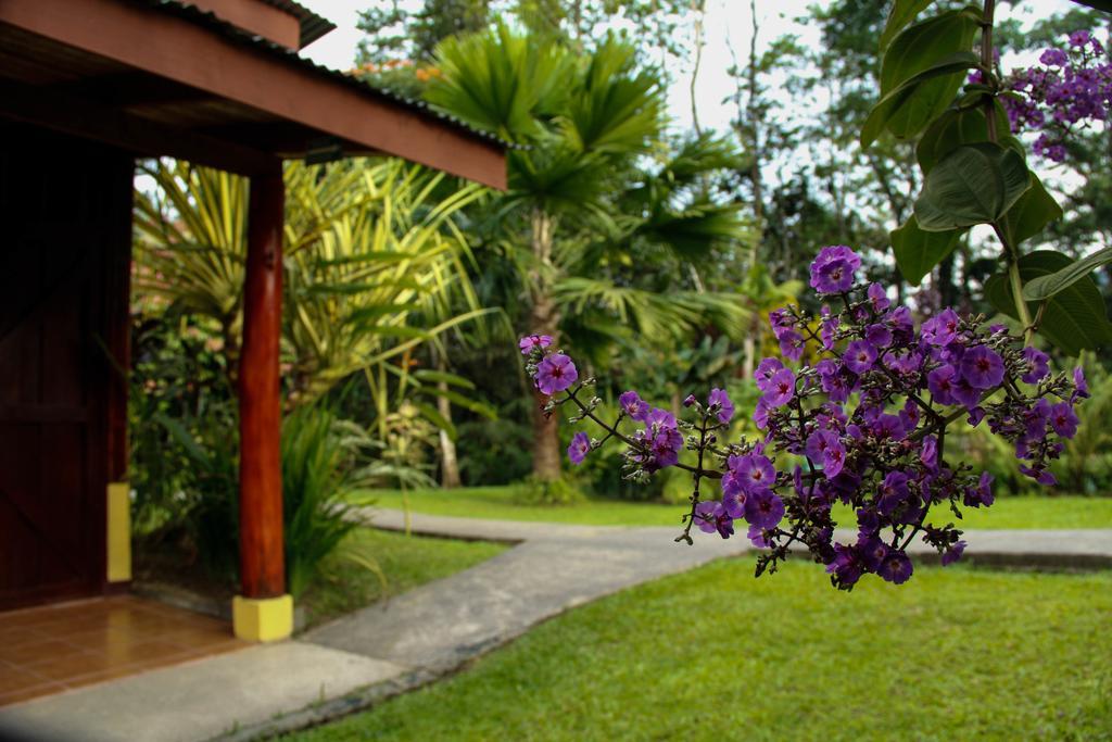 Catarata Eco Lodge La Fortuna Exterior foto