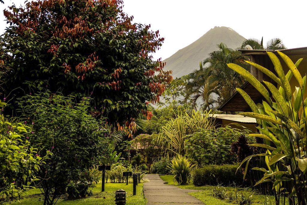 Catarata Eco Lodge La Fortuna Exterior foto